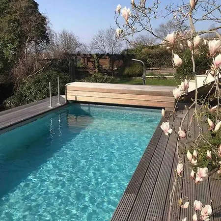 Rheinblick, Sport-pool アパート *
