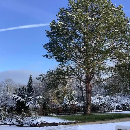 Apartament Rheinblick, Sport-pool